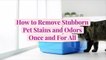 How to Remove Stubborn Pet Stains and Odors Once and For All