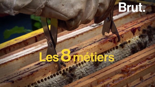Les 8 métiers des abeilles