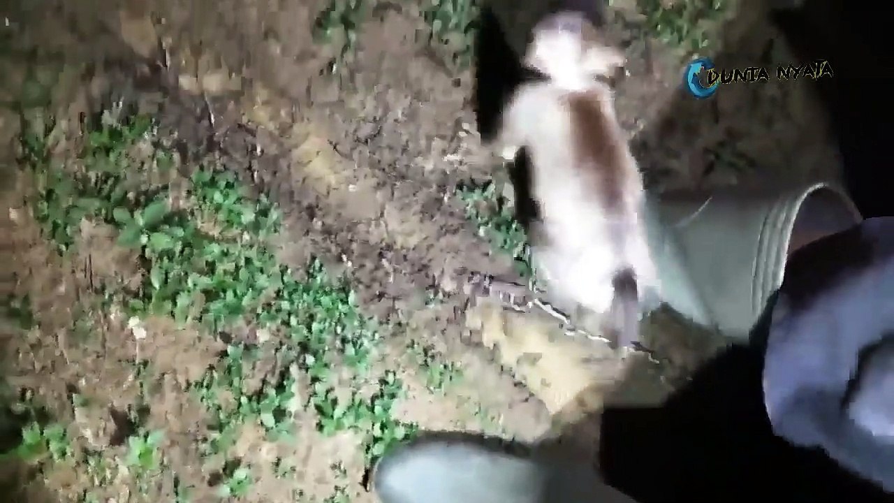 BURN POCONG USING GASOLINE