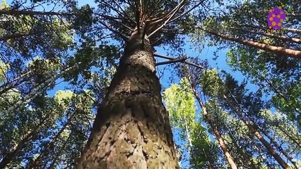 intro-logo-15-min-20210919-134036