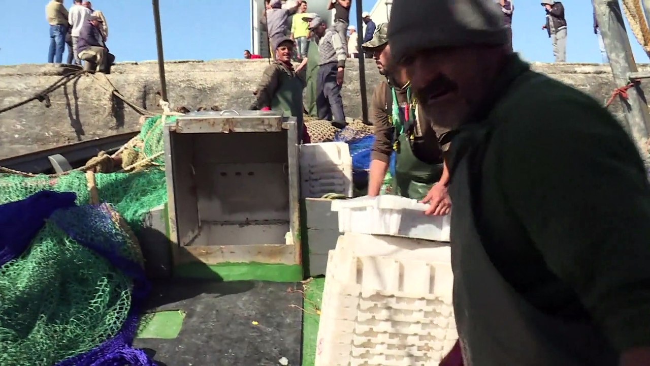 Westsahara-Konflikt: EU-Gericht ordnet neue Gespräche zwischen Brüssel und Madrid an