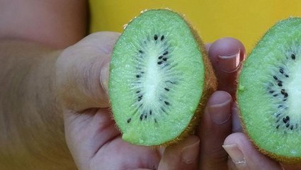 "Bu bölgede kivi yetişmez boşuna uğraşma" dediler ama o pes etmedi! Şimdi dünyaya ihraç ediyor
