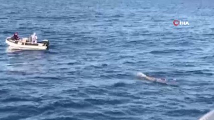 Mersin'den Kıbrıs'a tek başına yüzecek