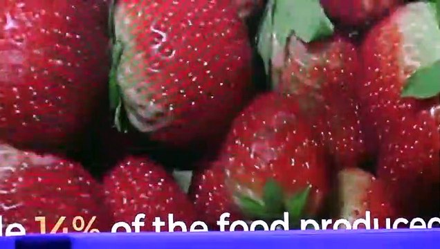 Cop26, il meteorologo Navarra: Mediterraneo: preoccupa l'innalzamento dei mari