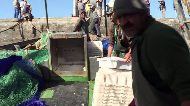 Европейский Суд отменил торговые соглашения между ЕС и Марокко