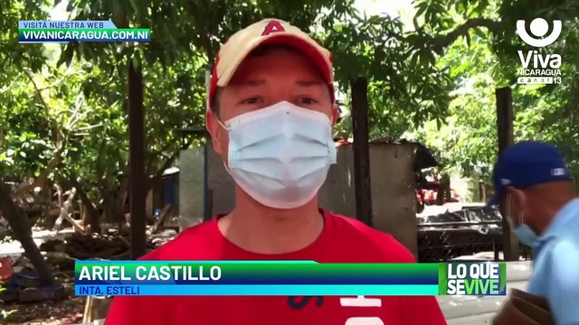 Estelí: Sistema Nacional de Producción desarrolla programas de impulso productivo porcino