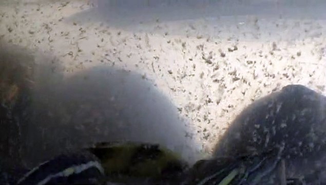 【Lamu chan】3542【ラムちゃん】