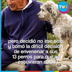 Abuelito se quita la vida junto a sus 13 perritos