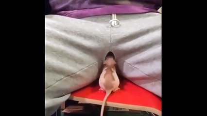 Shot on iPhone Meme #3