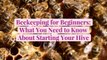 Beekeeping for Beginners: What You Need to Know About Starting Your Hive