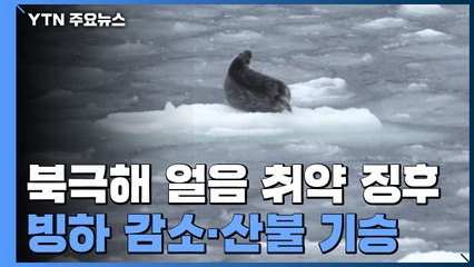 북극해 얼음 또 취약 징후...빙하 감소 · 산불 기승 / YTN