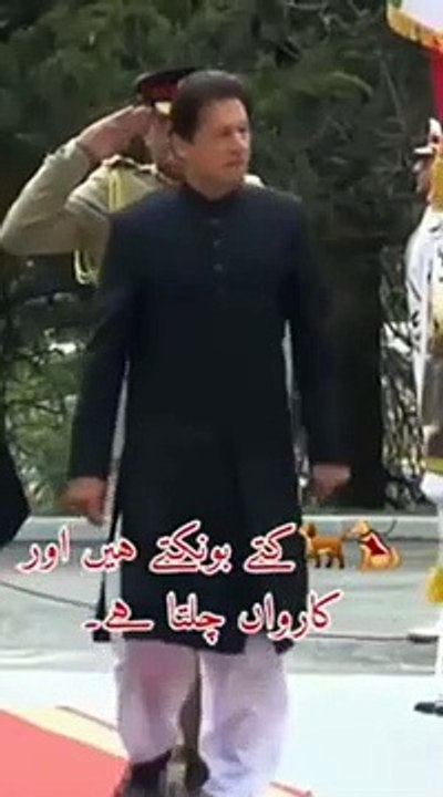 Imran Khan Dabbang Entry Video