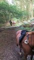 Son's First Jump on Horse Ends in Fall