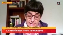 La región NEA tuvo 35 ingresos
