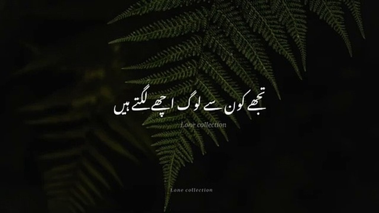 Tariq Jameel whatsapp status Tariq Jameel Bayan status Islamic status for whatsapp Urdu status