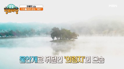 1800년 역사의 저수지 '의림지'에서 즐기는 집라인과 유람선!