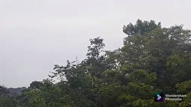 Airbus A330 PR-AIY vindo de Campinas e Boeing 737 MAX 8 PR-XMN vindo de Boa Vista