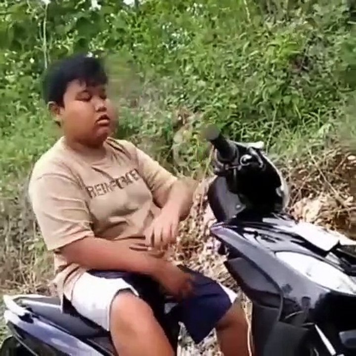 setory_wa