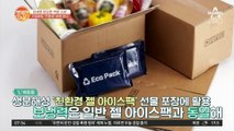 친환경에 눈돌리는 기업들! 보냉력도 좋은 친환경 포장
