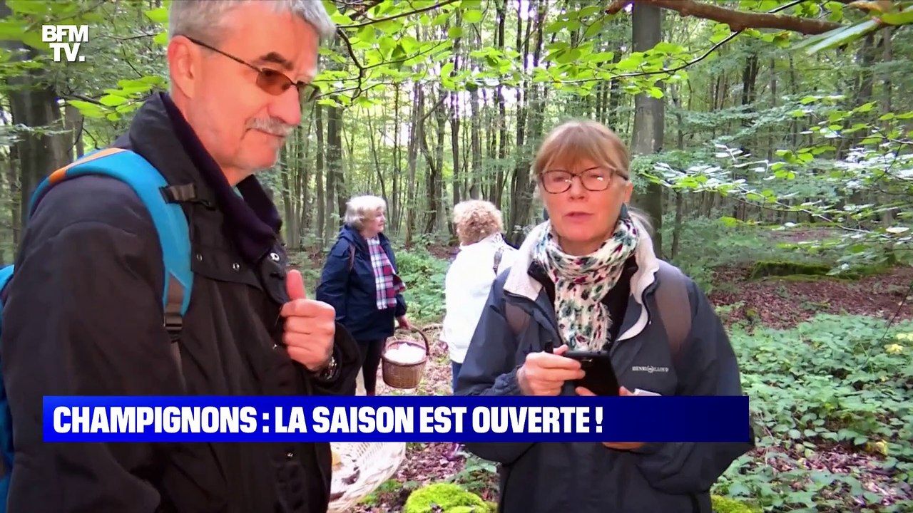Champignons : la saison est ouverte ! - 30/09