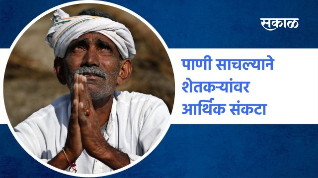 Osmanabad : शेतातील सोयाबिन क्षेत्रात पाणी साचल्याने शेतकऱ्यांवर आर्थिक संकट | Sakal Media |