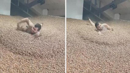 Fındık içinde yüzdüğü anları sosyal medyadan paylaştı, milyonlarca kişi izledi