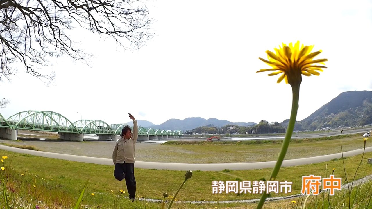東海道五十三主義