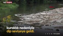 Tunca ve Meriç nehirlerinde korkutan kuraklık: Dip seviyede