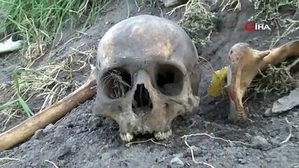 Korkutan görüntü: Her yerden kafatası ve kemikler çıkıyor