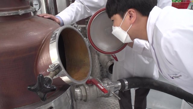 [녹색] 농진청, 국산 생쌀과 효모로 '전통 증류 소주' 개발 / YTN