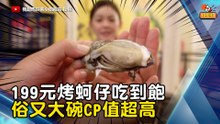 199元烤蚵仔吃到飽 俗又大碗CP值超高