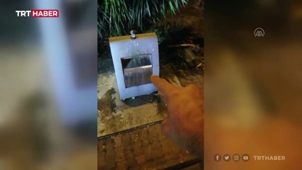 Çöpte bulduğu kediyi ezilmekten son anda kurtardı