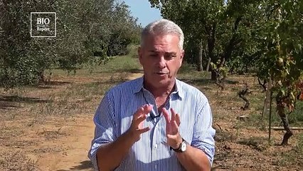 ZAMAGNI A BIOMEDICAL REPORT: L'ignoranza sanitaria della gente ha dato forza alla pandemia