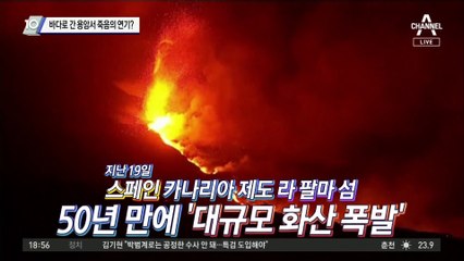 바다로 간 용암서 죽음의 연기?