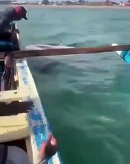 mancing dapet layangan