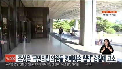 조성은 "국민의힘 의원들 명예훼손·협박" 검찰에 고소