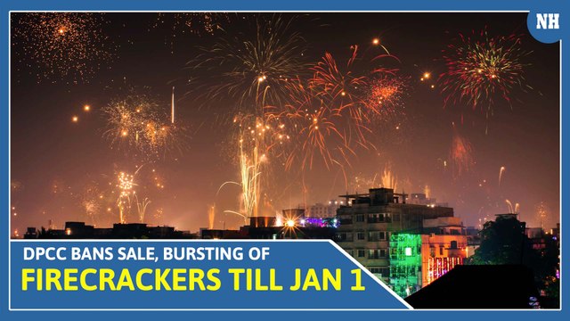 Ahead of Festive Season, Delhi Pollution Control Body Bans Sale, Bursting Of Firecrackers Till Jan1