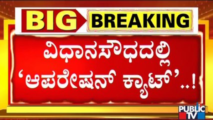 Fire Fighters Attempt To Rescue A Cat From 2nd Floor Of Vidhana Souda; Cat Escapes