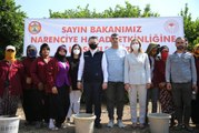 Tarım ve Orman Bakanı Bekir Pakdemirli, Adana'da limon hasadına katıldı