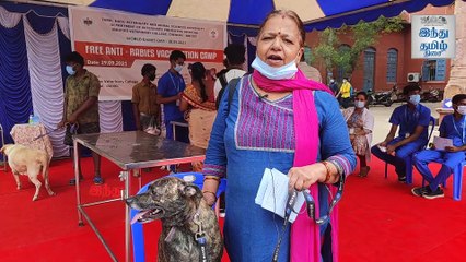 நம்மை போலவே நாய்களுக்கும் இந்த உலகத்தில் வாழ உரிமை இருக்கு!