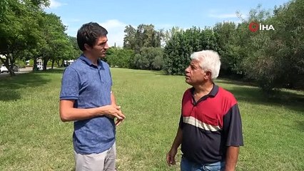 Kızıldeniz'den Akdeniz'e gelen istilacı balık türleri yönünü Ege denizine çevirdi