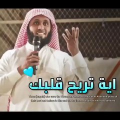 كم نحتاج لمثل هاته المقاطع ...في زمن تكثر فيه الفتن...