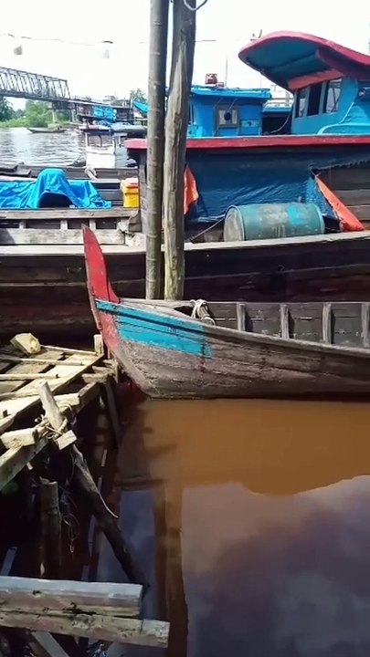 catch fish first into the sea