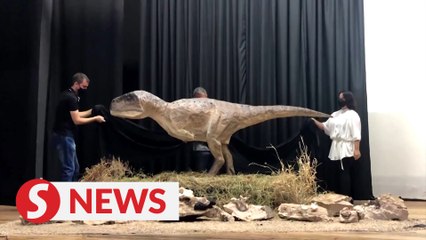 New dinosaur species identified in Brazil