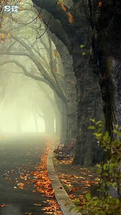Lots of beautiful places.Who wants to go+WhatsApp video shot