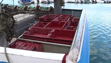Licences de pêche post-Brexit : les pêcheurs français en rade