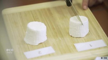 Growing appetite for vegan products