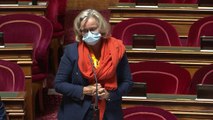 Animalerie: amendements au Sénat pour interdire la vente de chiens et chats