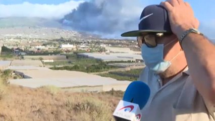 Desesperación entre los plataneros de La Palma