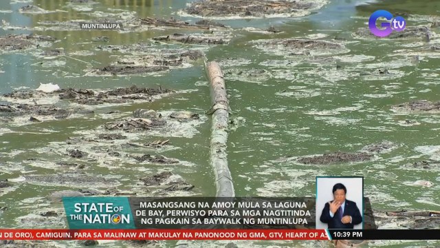 Masangsang na amoy mula sa Laguna De Bay, perwisyo para sa mga nagtitinda ng pagkain sa baywalk ng Muntinlupa | SONA